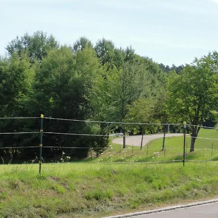 Waldweg Daire